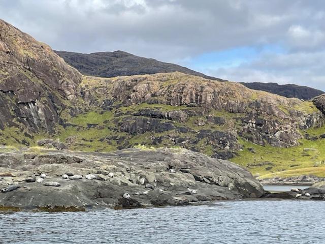 Waterfall View Milovaig ภายนอก รูปภาพ